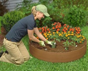 consejos-simples-y-basicos-para-el-mantenimiento-del-jardin