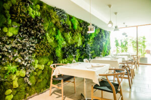 jardin-vertical-de-plantas-estabilizadas