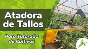 TLBL-Maquina-para-Atar-Plantas-Cinta-para-Atar-vides-Herramienta-para-Atar-Plantas-con-20-Rollos-de-Cinta-y-una-Caja-de-Grapas-para-Uvas-frambuesas-Tomates-Verduras-y-Flores-A