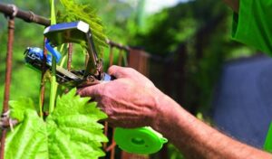 aprende-como-ahorrar-tiempo-con-la-gelrova-maquina-atadora-de-cinta-para-tus-plantas-y-cultivos-de-jardin